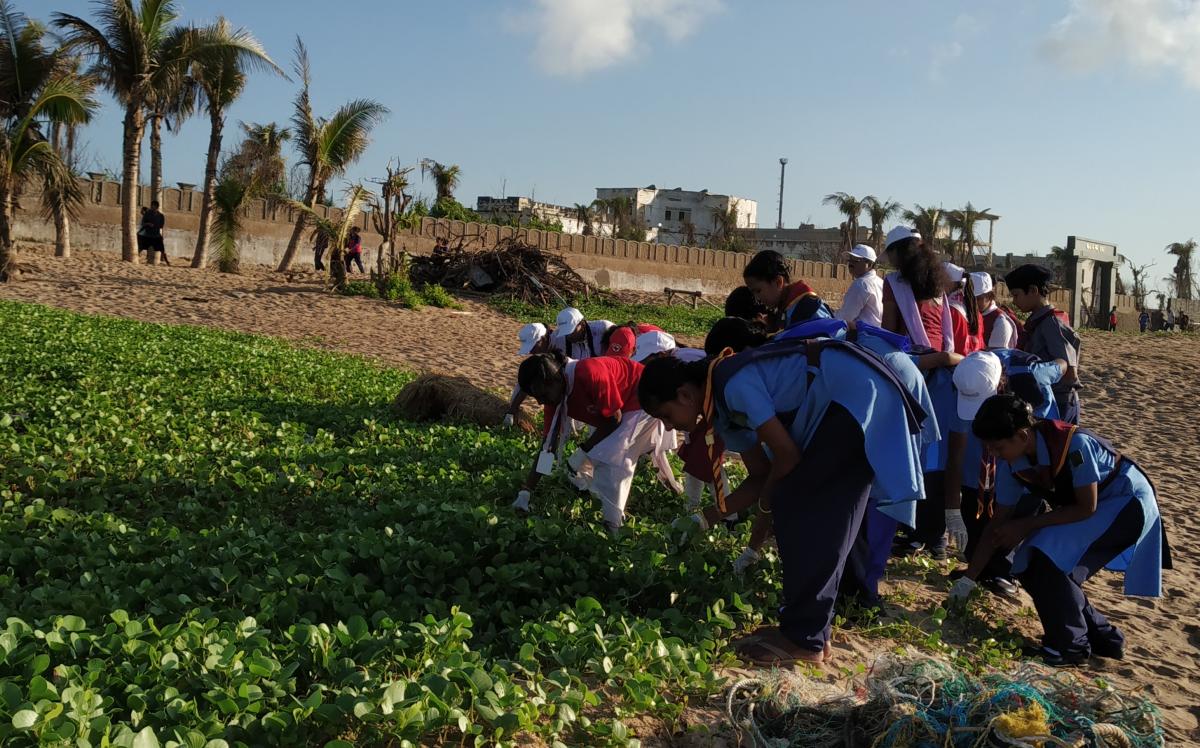 Beach cleaning