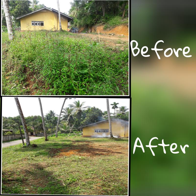 cleaning project 