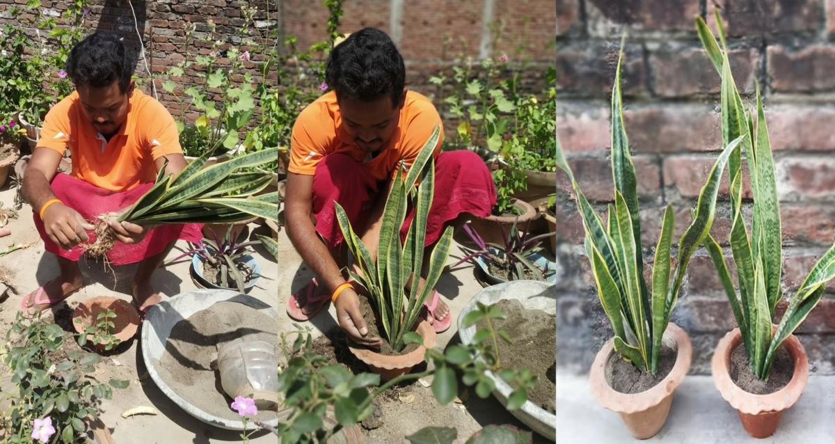 Project Sankalp, [A] Health and Well Being, Challenge 2 - #StayHome