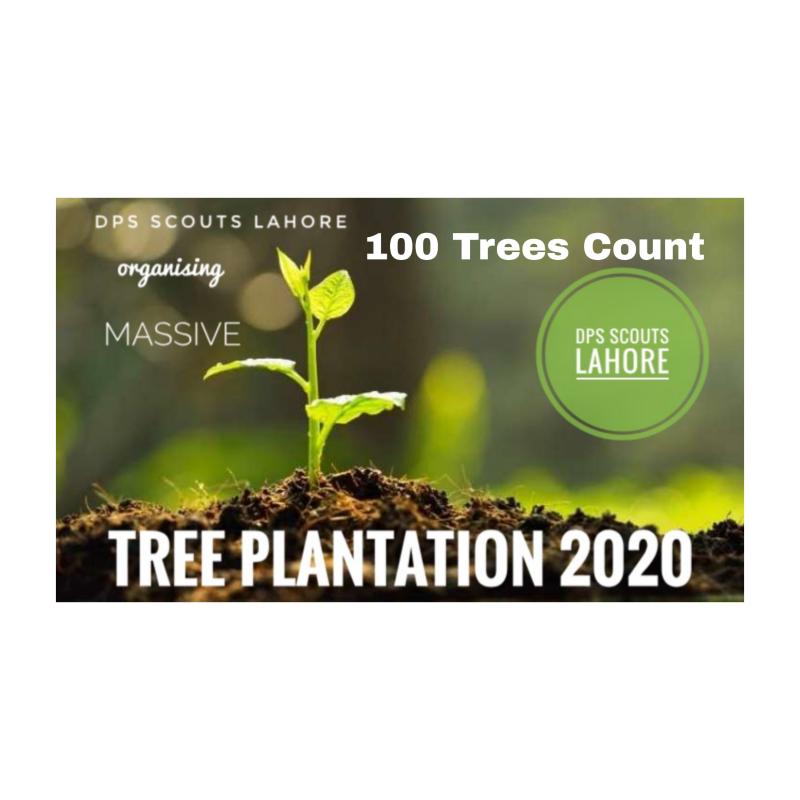 Tree Plantation Week