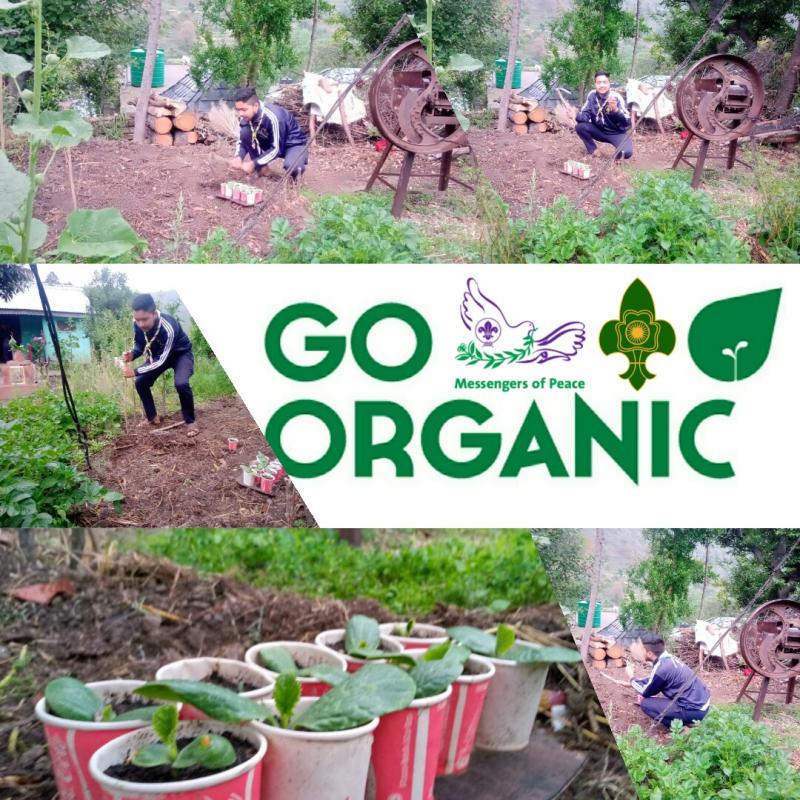 Go Organic, challenge under sankalp.
