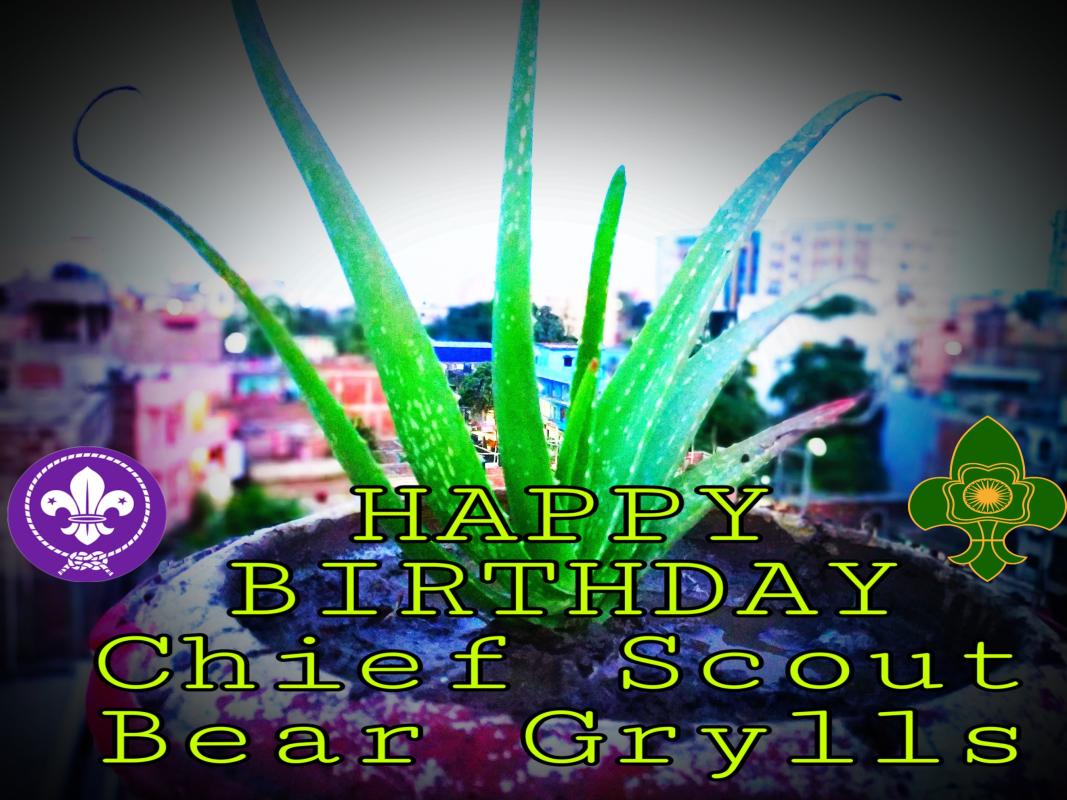 HAPPY BIRTHDAY Chief Scout "BEAR GRYLLS"