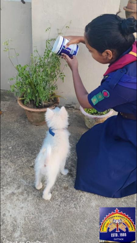 Sankalp 2.o Lockdown garden 