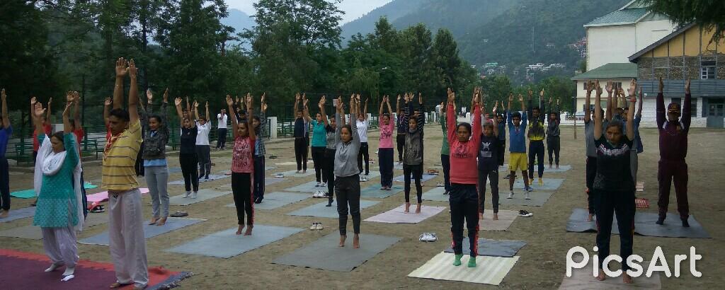 Celebrate International yoga day