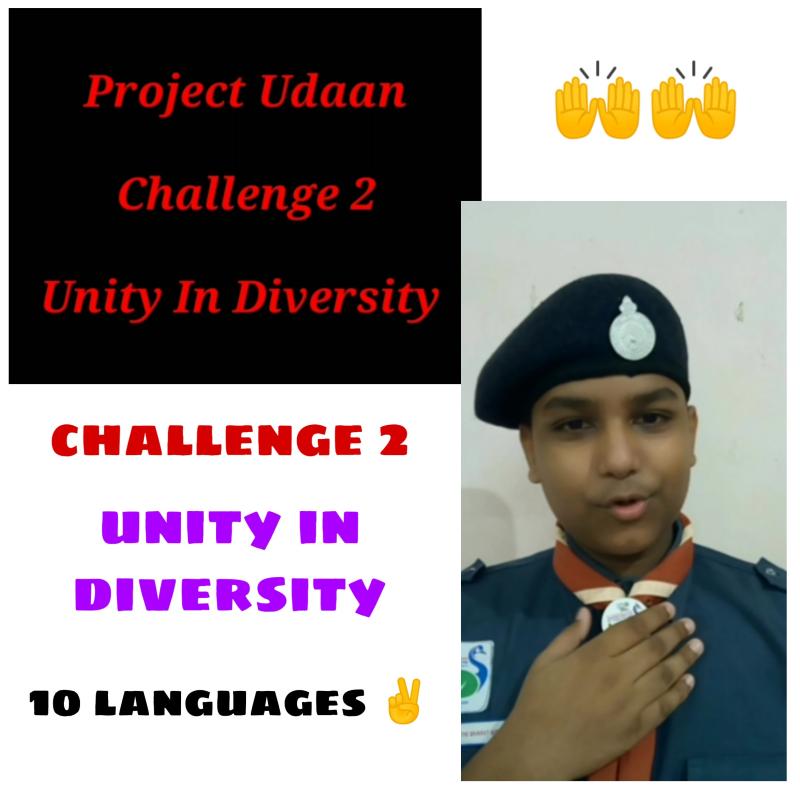 Udaan Project || Challenge 2 || Unity in Diversity 