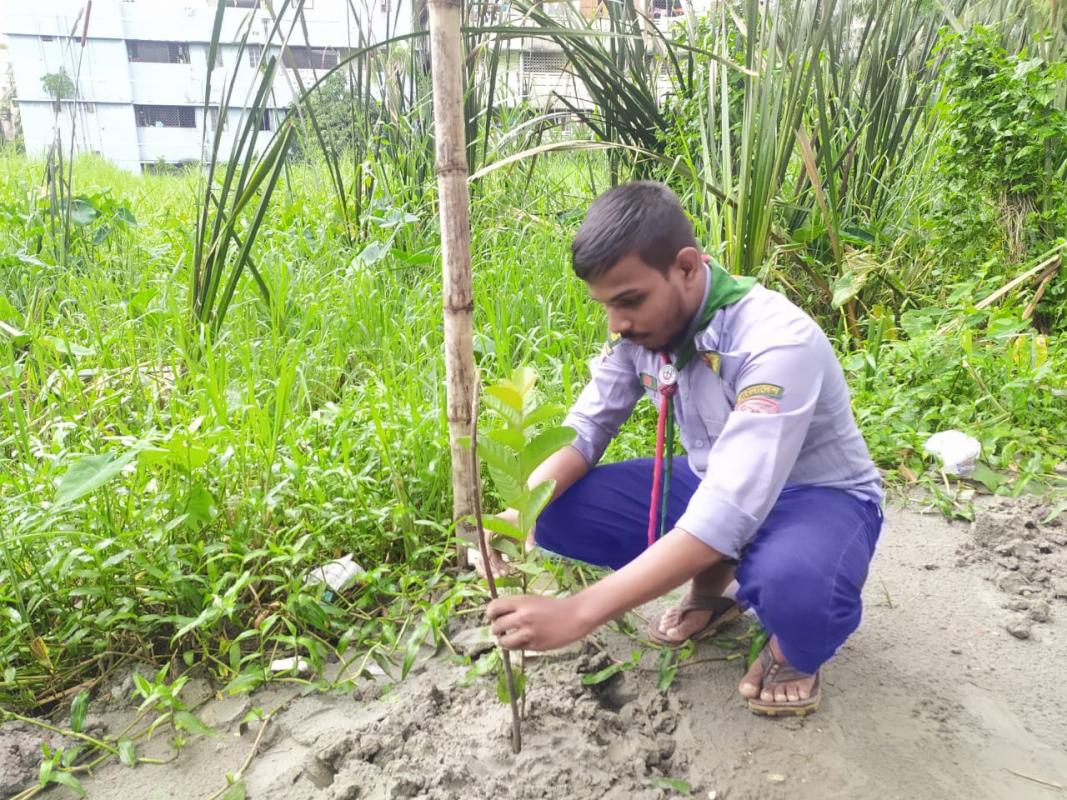 বৃক্ষ রোপণ