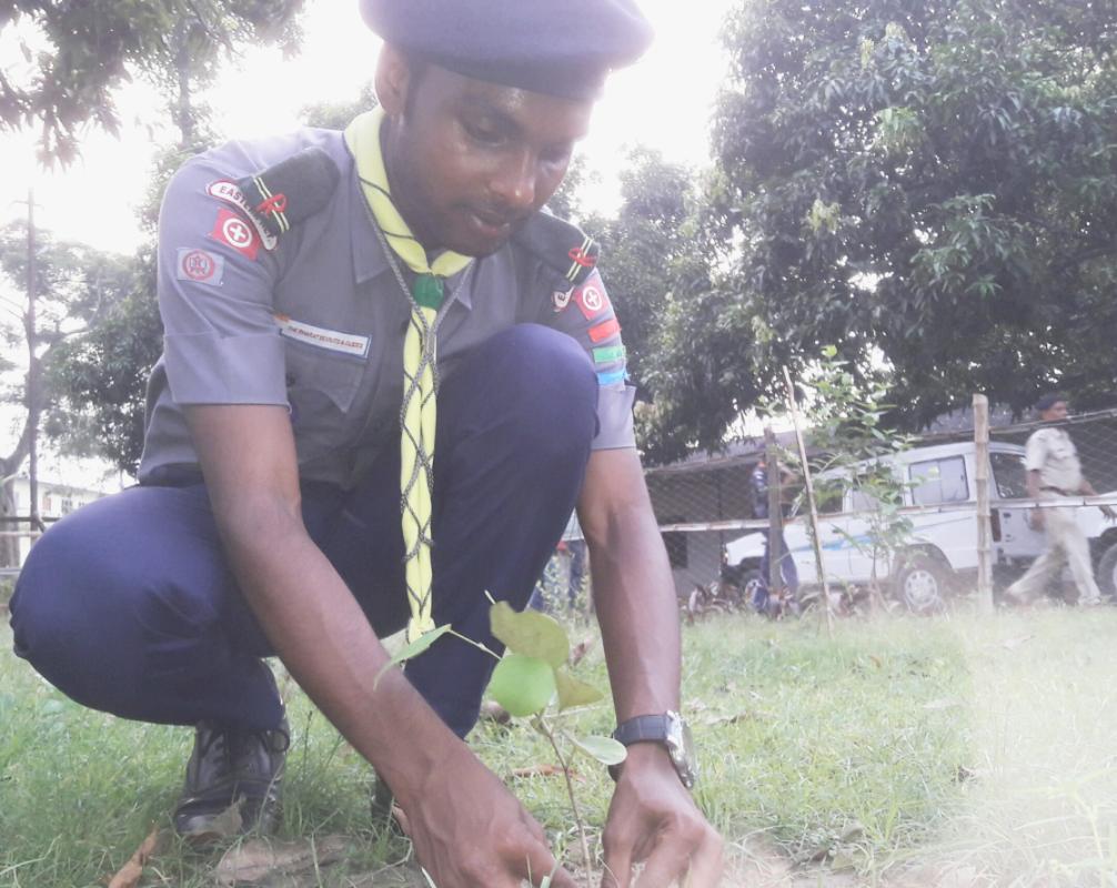 TREE PLANTATION