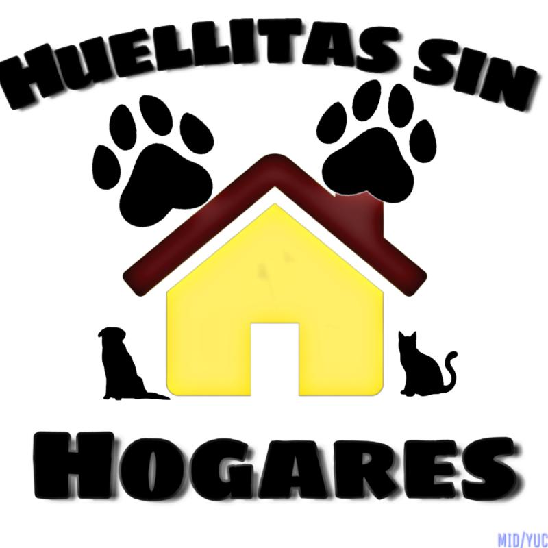 Huellitas sin hogares