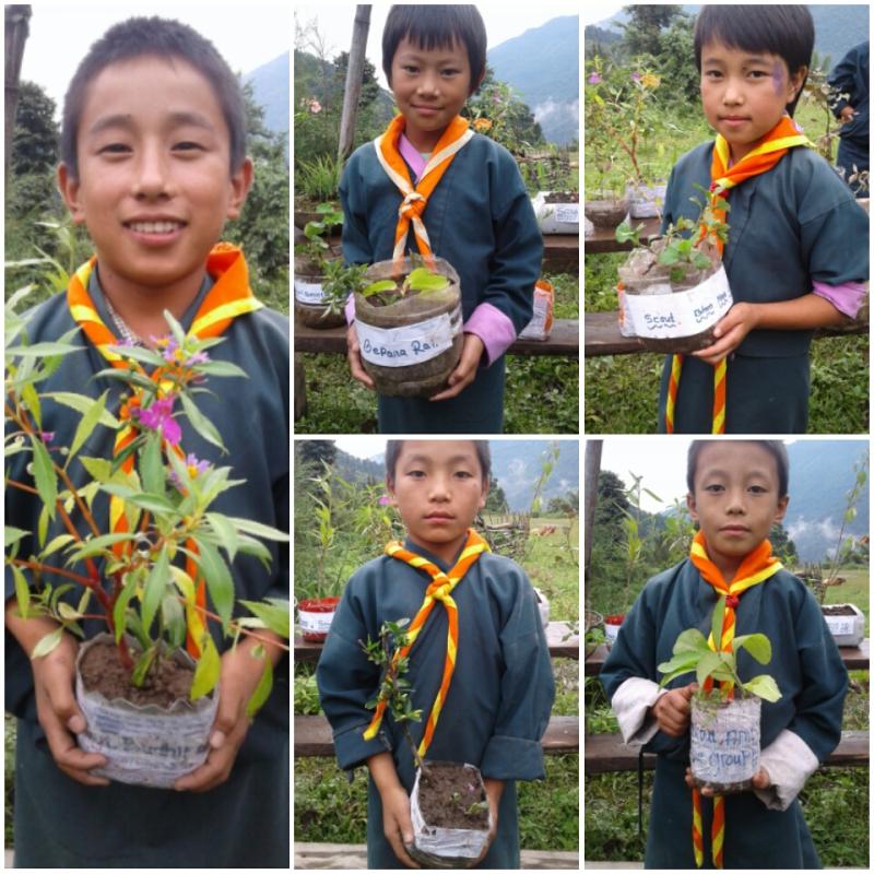 "One Cub, One Flower" Initiative 