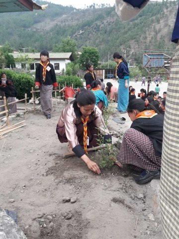 Plantation of a Tree