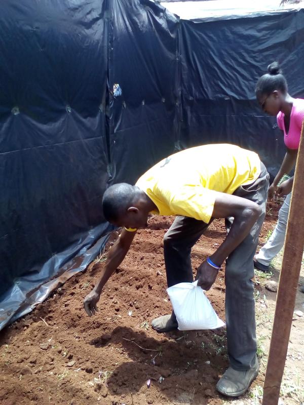 Food for life Project - Vegetable Garden