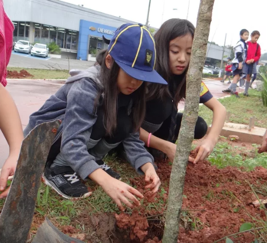 Plantio de árvore, celebrando a semana do meio ambiente