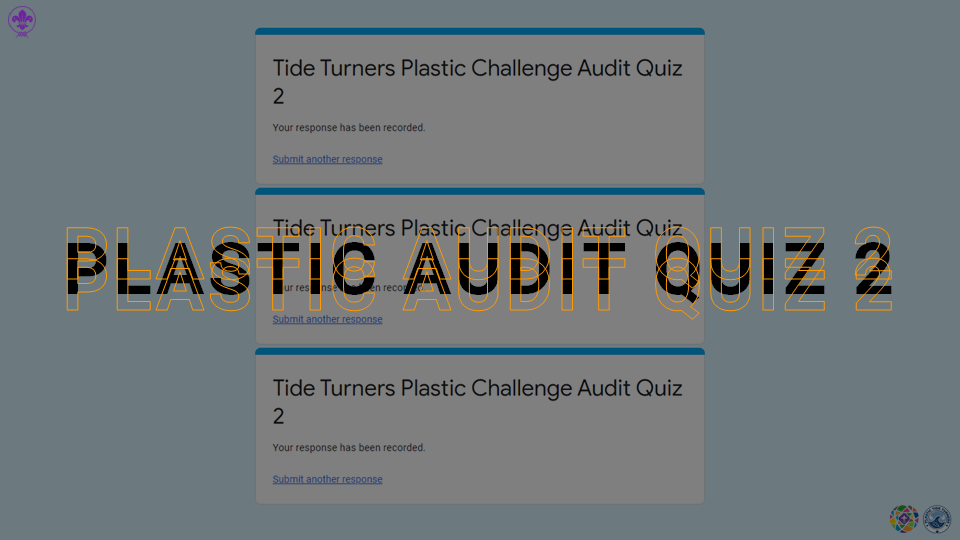 Plastic Audit Quiz 2 [TTPC]