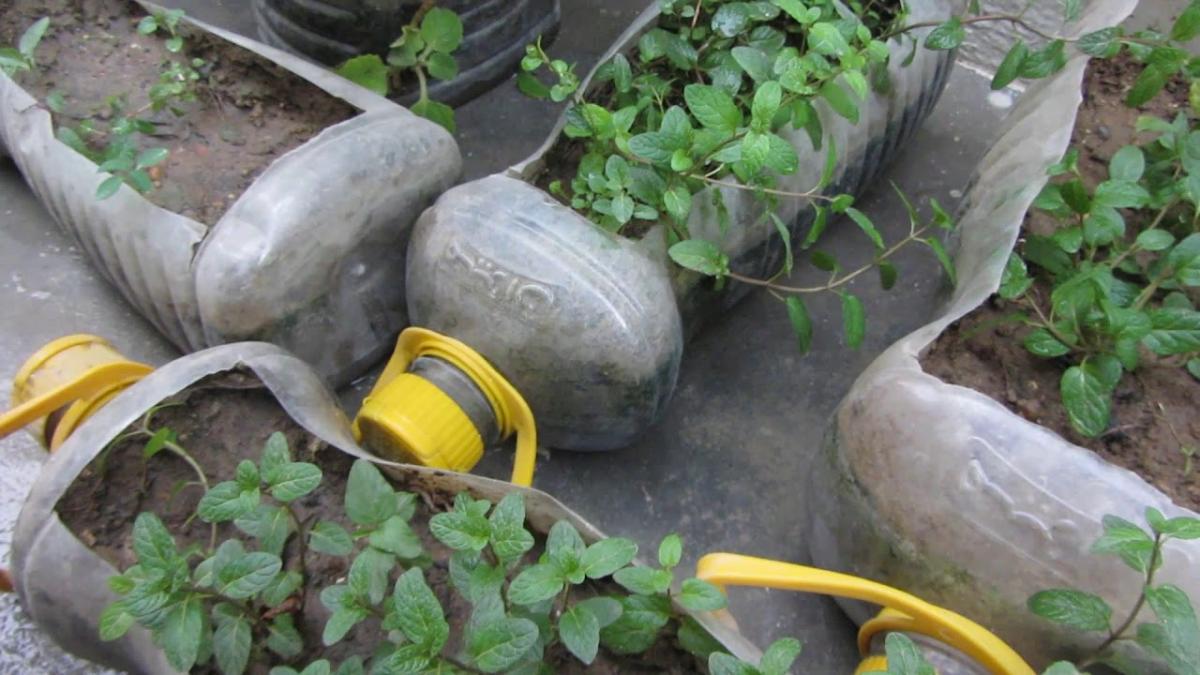 প্লাস্টিকের পুনর্ব্যবহার এর আইডিয়া #PTTCBadgeBDScouts  #EarthTribe