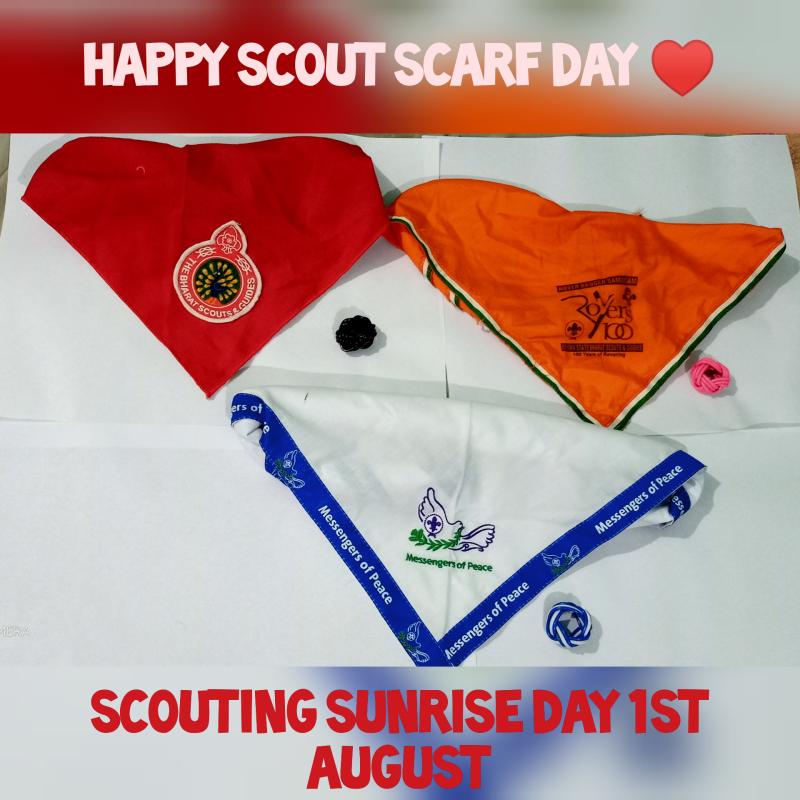 SCOUTING SUNRISE DAY GOOD TURN AT MY HOME 