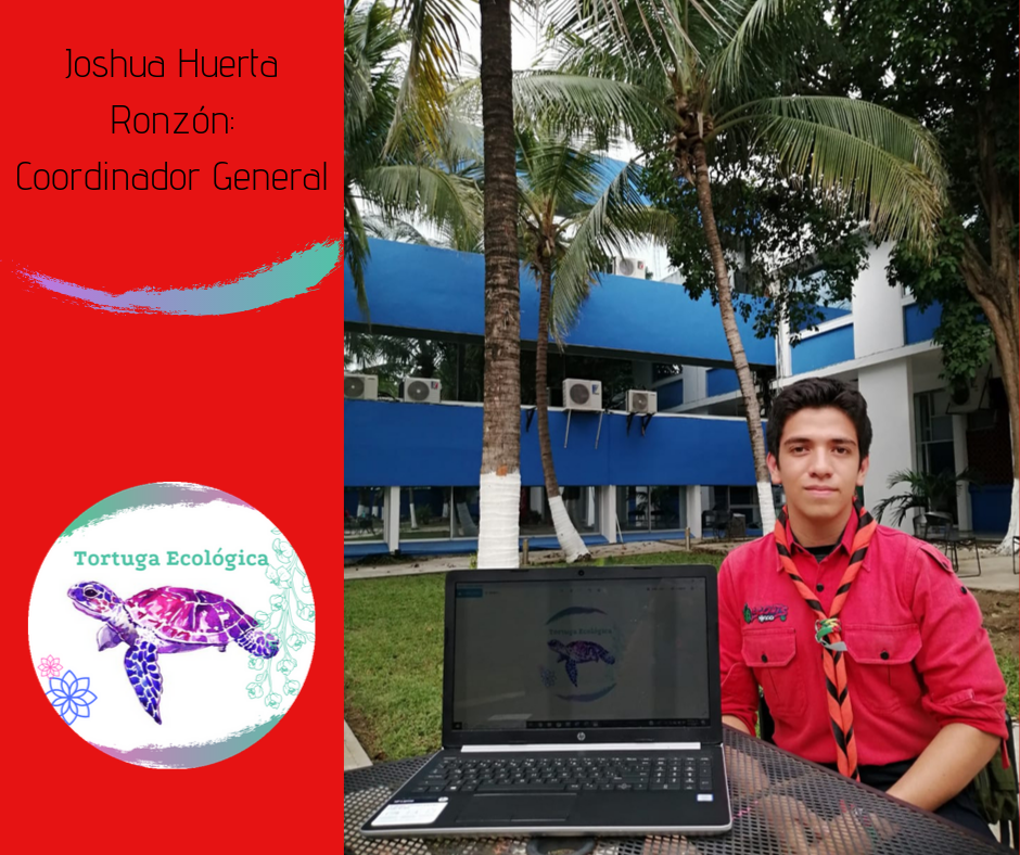 La Tortuga Ecológica