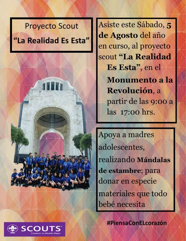 la Realidad Es Esta 