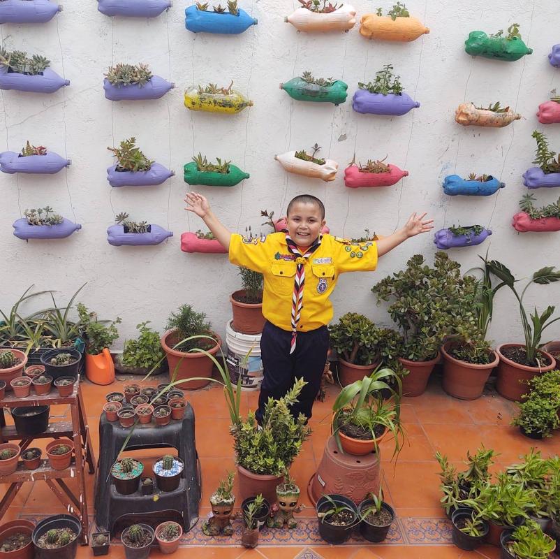 La Selva del Seeone en la ciudad.