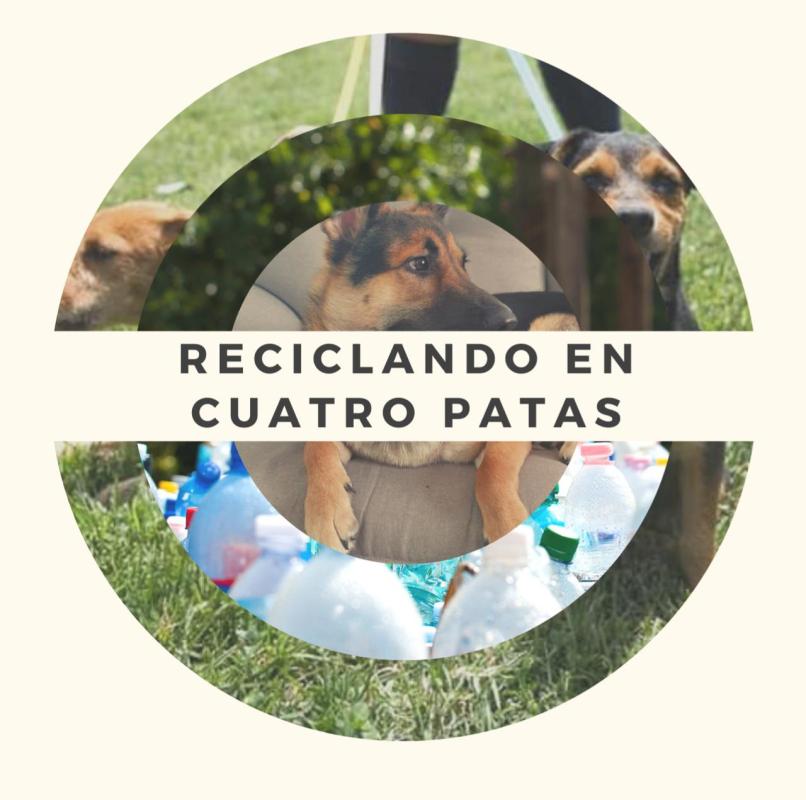Reciclando en Cuatro Patas