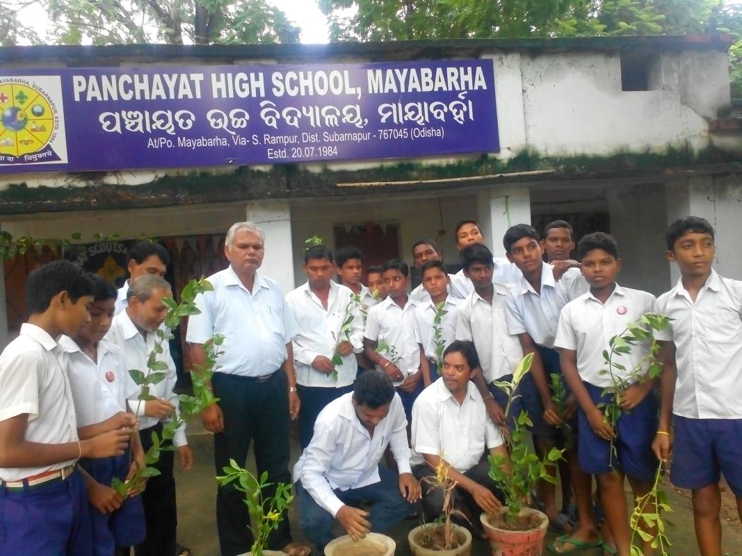 PLANTATION PROGRAMME