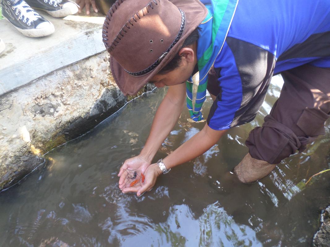 #Save Fish  in the River