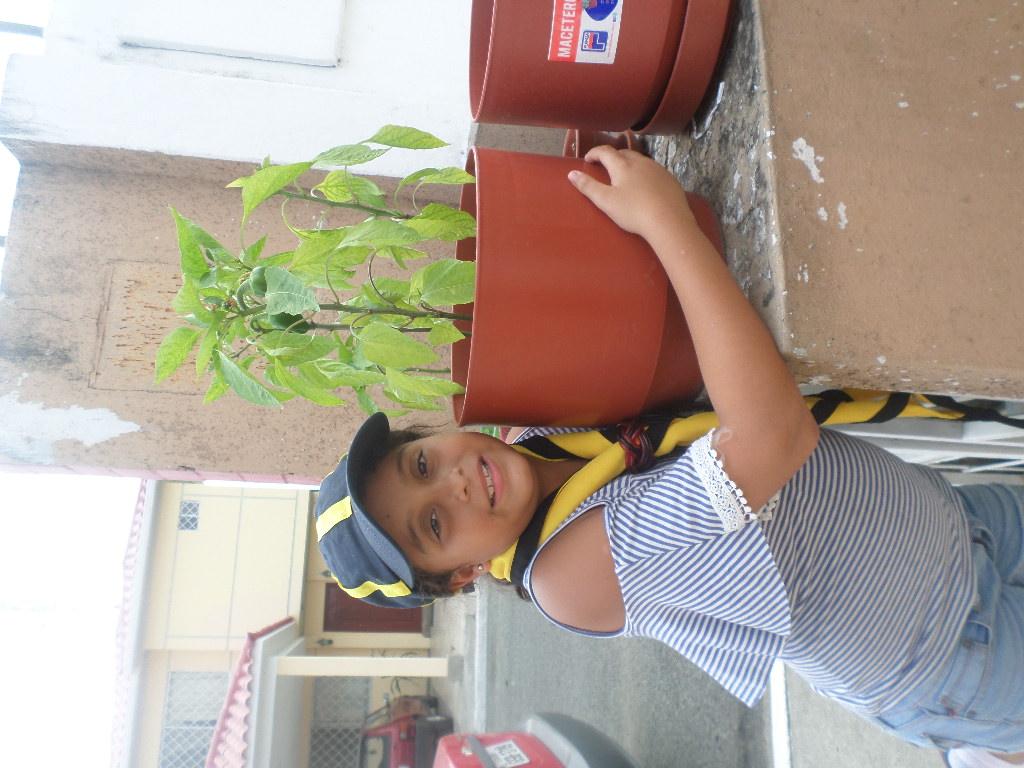 REFORESTACION, PLAYATON, PLOGGING Y EL AMOR AL MEDIO AMBIENTE