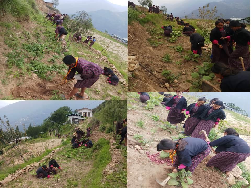 School Agriculture Work (4/6/2021)