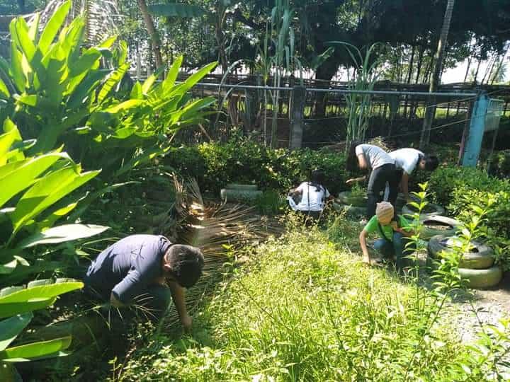 BRIGADA ESKWELA 2019 TEAM 11- ROVER SCOUTS OF TAGUM CITY COUNCIL( DAY 1- DAY 10)