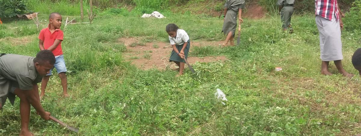 scout clean up campaign