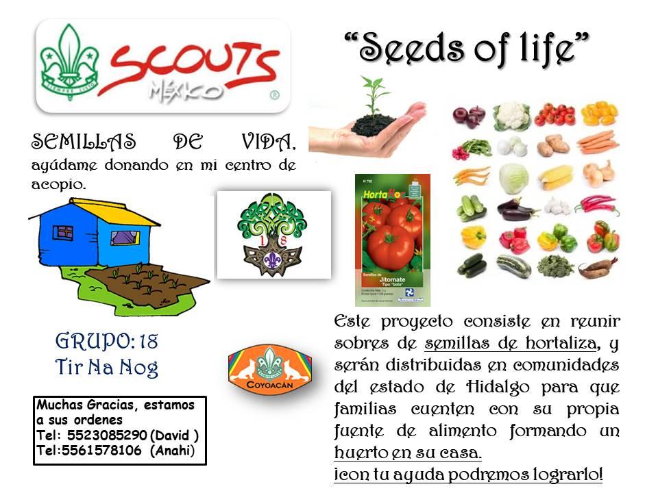 seeds of life (semillas de vida)