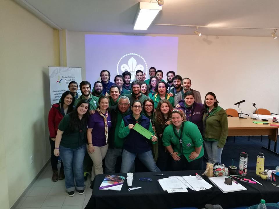 Crecimiento y Proyección del MSU