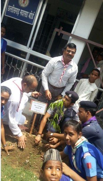 Plantation Drive