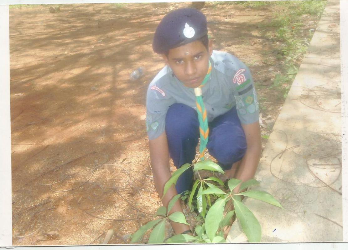 PRESERVATION OF GREENARY