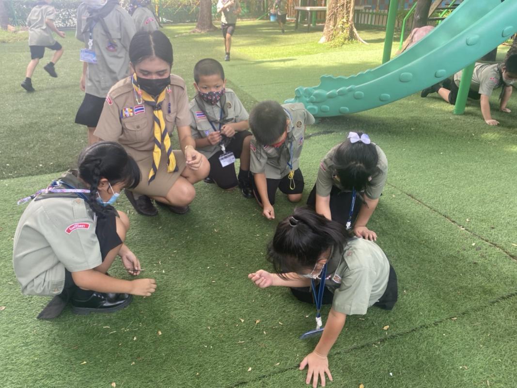 บำเพ็ญประโยชน์เก็บขยะและเศษใบไม้