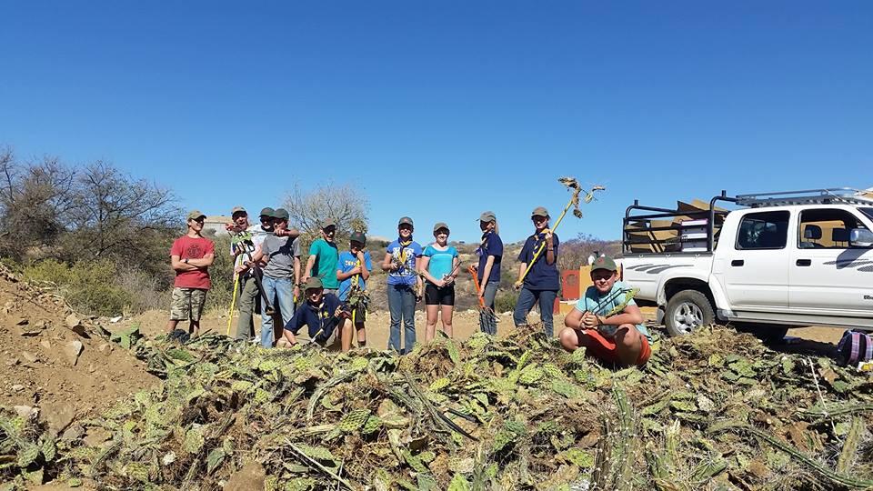 Cacti Clean-Up