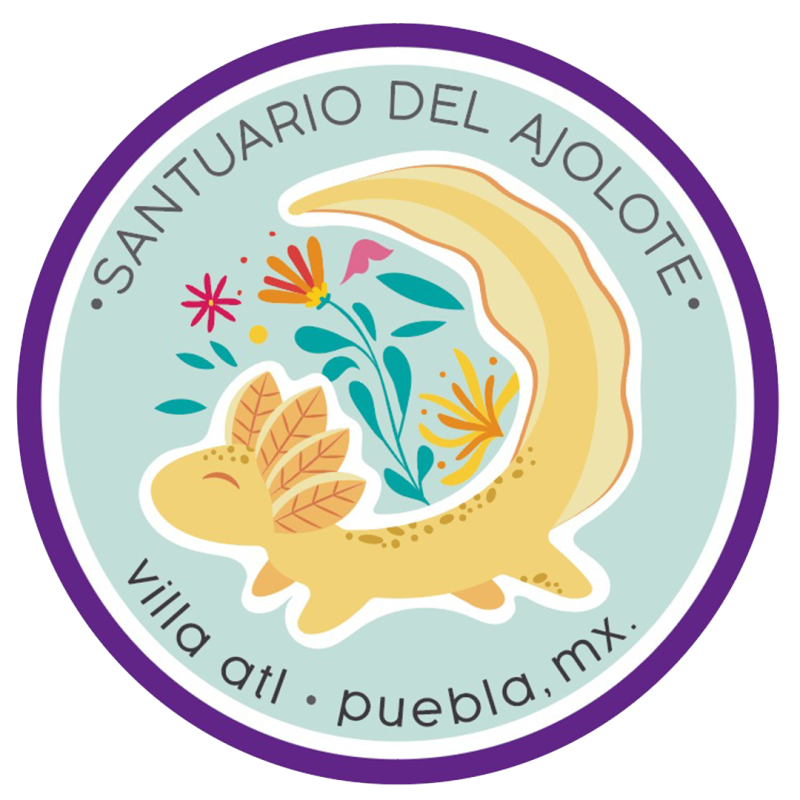 Proyecto Horquilla Azul