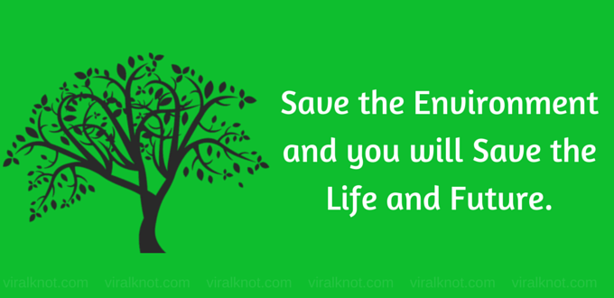 tree plantation