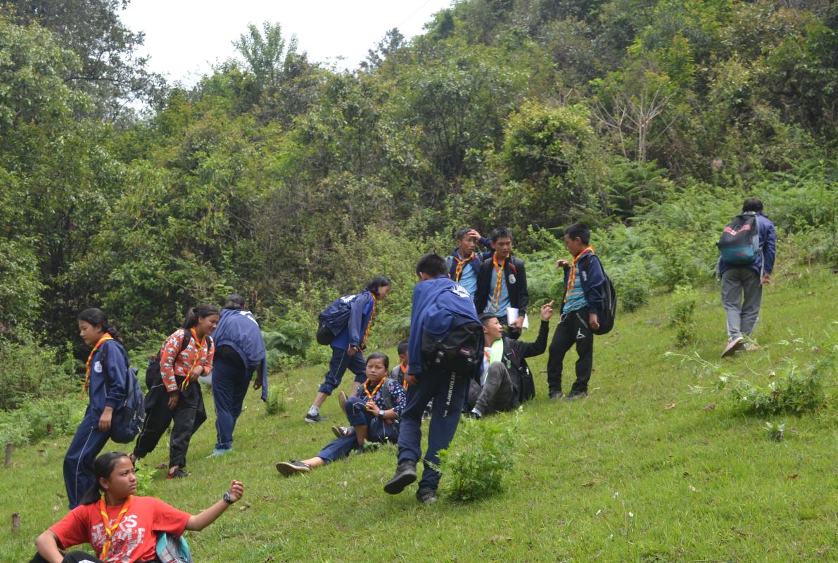 Scout Hiking 