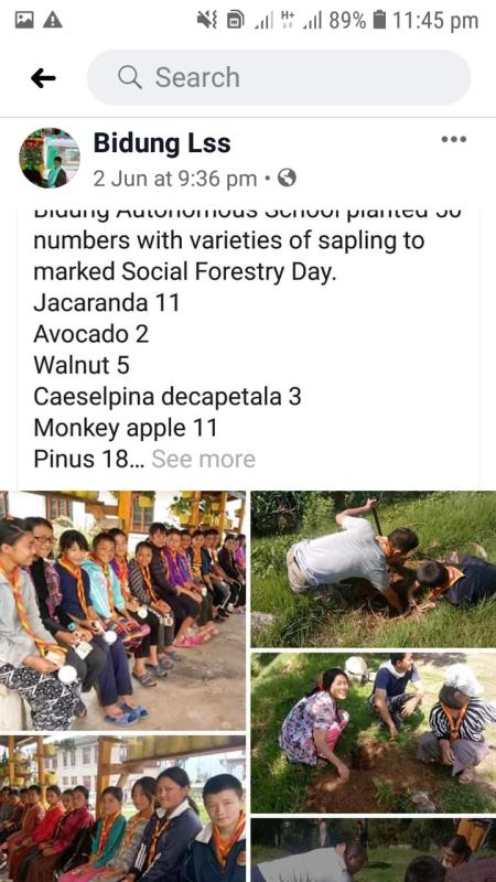 Planting for Better Future