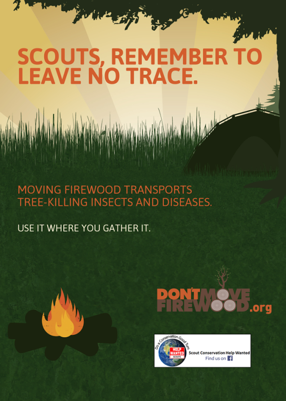 Invasive Tree Pests: Walnut Tree Monitoring Study, Eastern Hemlock Tree Planting, "Don't Move Firewood" Campaign