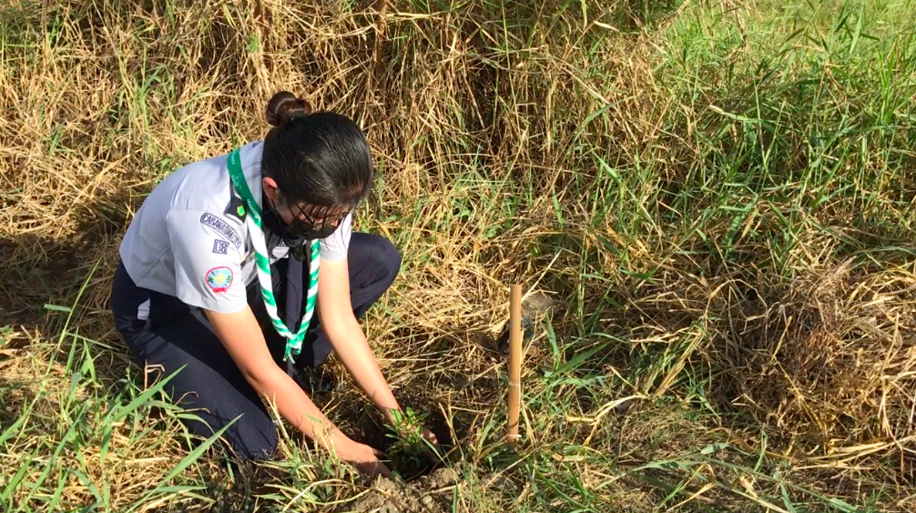 Plant A Tree, Green The Earth Project