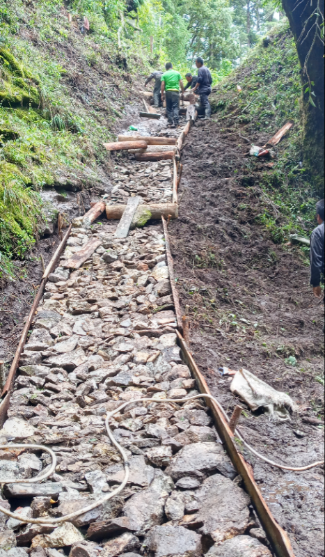 Community Service at Dechen Draphu