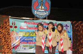my scout