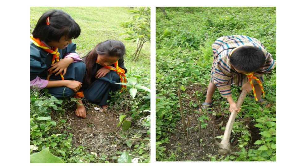 Promoting Green Planet by Planting Trees