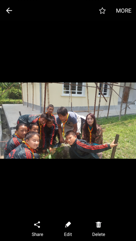 Plantation