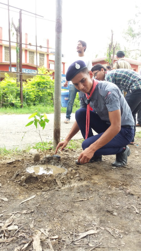 Tree Plantation on Kargil(Vijay) Diwas