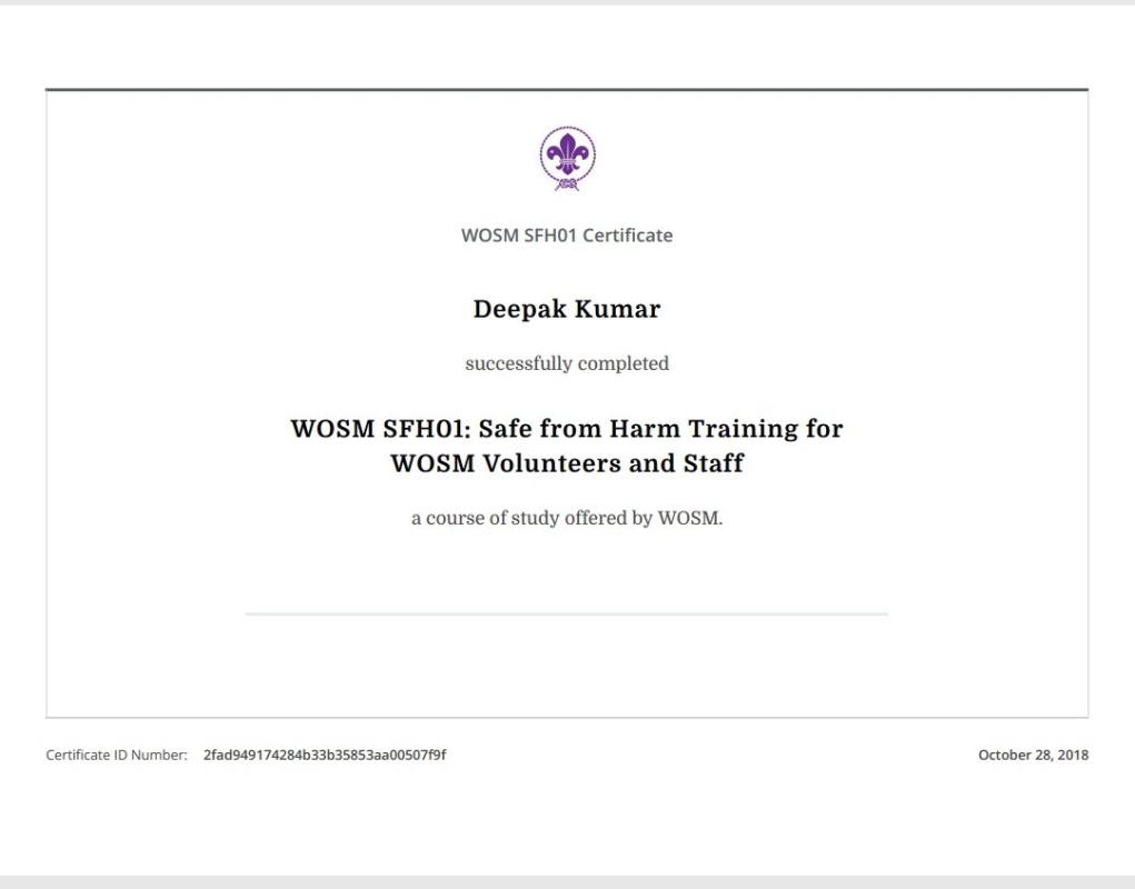 Safe from Harm course 