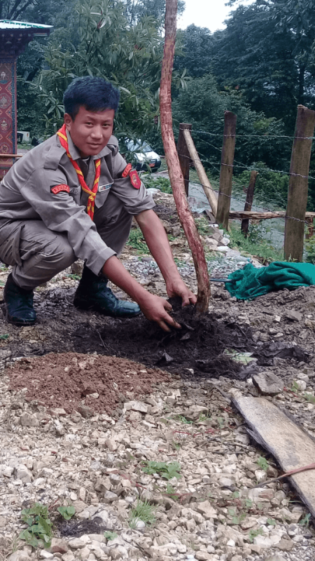 Planting plants