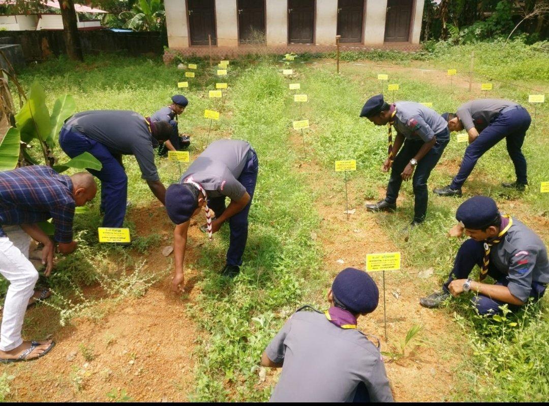 Panchayat School and Surrounding Cleaning