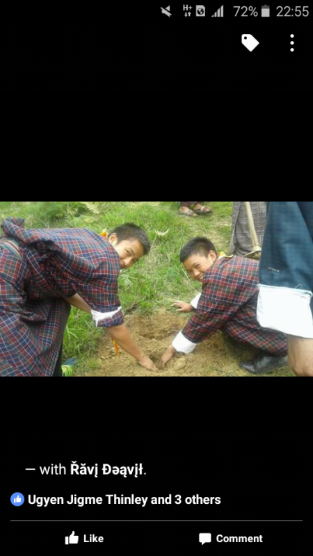 plantation of tree on social foresty day